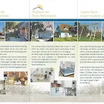Alte Fischerkate Und Moewennest *