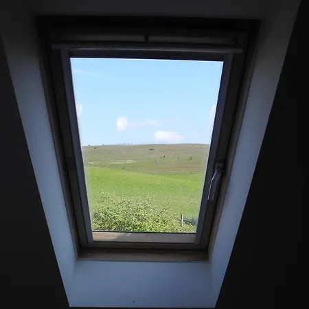 Apartment Alte Fischerkate Und Moewennest *