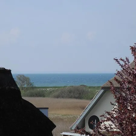 Apartman Alte Fischerkate Und Moewennest