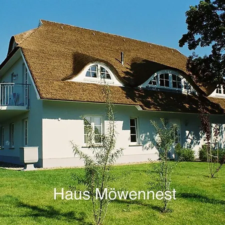 Alte Fischerkate Und Moewennest Gross Zicker