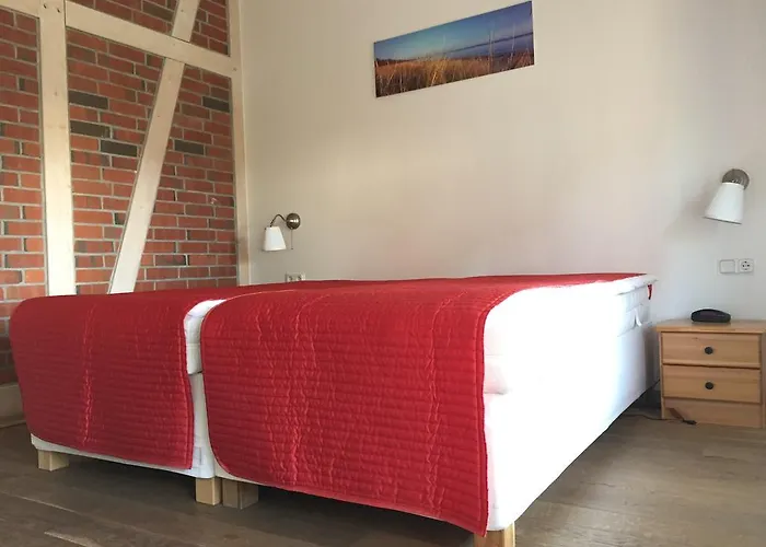 Alte Fischerkate Und Möwennest